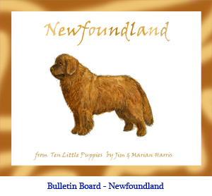 Bulletin board art of an Newfoundland dog.  Watercolor art by artist Jim Harris, from the wiggly-eyeball book, Ten Little Puppies.